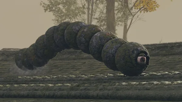 Abnormal Stone Cluster