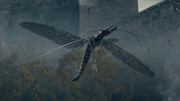 Giant Dragonfly