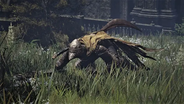 Lesser Bloodhound Knight