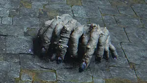 Lesser Fingercreeper