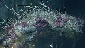 Lesser Ulcerated Tree Spirit