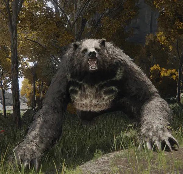 Runebear